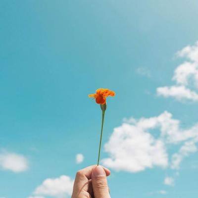 美高梅网址下载手机版截图