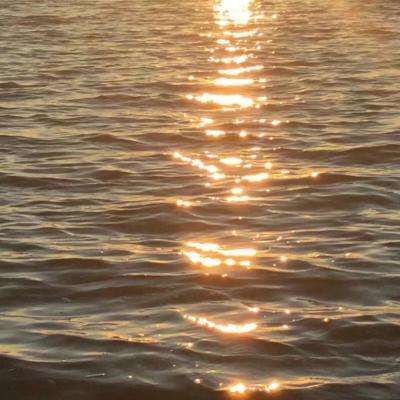 博鱼半岛在线登录